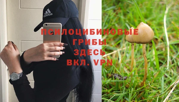 бошки Алзамай