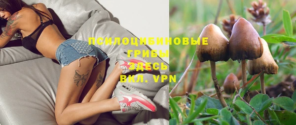 дмт Абдулино